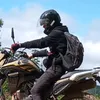 amaral055