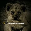 obayda87