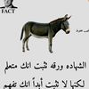 abu.alaulaad