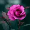 user7788173810192