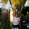 nguyn.tri.phng57