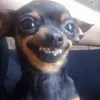 ddjeae09