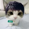 victorggkw