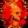 thereddeath67