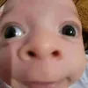 sikibiditoilet222