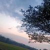 zul_pa7