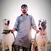 شنشاہ ہنٹنگ کلب کوٹیرا⚜️🔥
