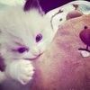 cweimuppppppppp