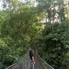 ryshll8