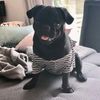 trudy3479