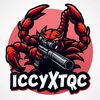 iccyxt