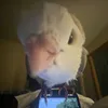 yourlocal_bird