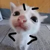 isa_melle18ae