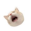 khunying_na