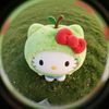 ssunnyiilee