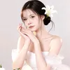 duy77566