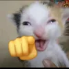 jundhsdvvds