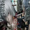 zzux33