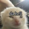 lylee.im
