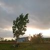 liaa190689