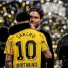 syntexftbl