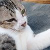 imaoo_3