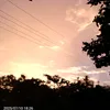 sunking733