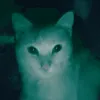 feraruil