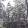aaziz.mohmaed