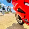 tinymonte4