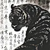 tigerr.oo