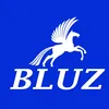 bluzuk24