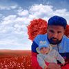 amjad.sardar82