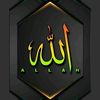 user24708721329425