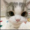 linnhtutisoffline