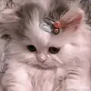uocdcdi4emcungluc