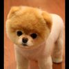 lorie.bembery