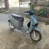 b_luan210