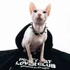 kitty_lala404