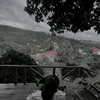 ngdung0041