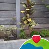 nur.khayati732