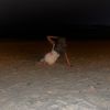 sophiee._4