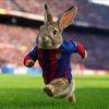 jose_vx28