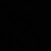 maa1110011