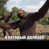 idtolerantmodest10