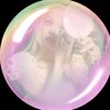 xo.glinda