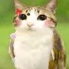 fruitcake_lov