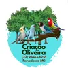 criacao.oliveira
