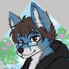 the_fenfop_ninja