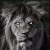yassin.hmam1